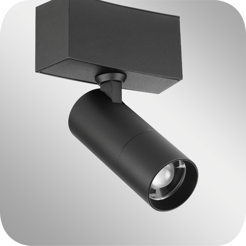 Snoot 1 Zoomable Curve-SPSH-Z